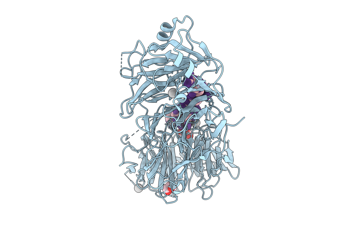 5GXH image