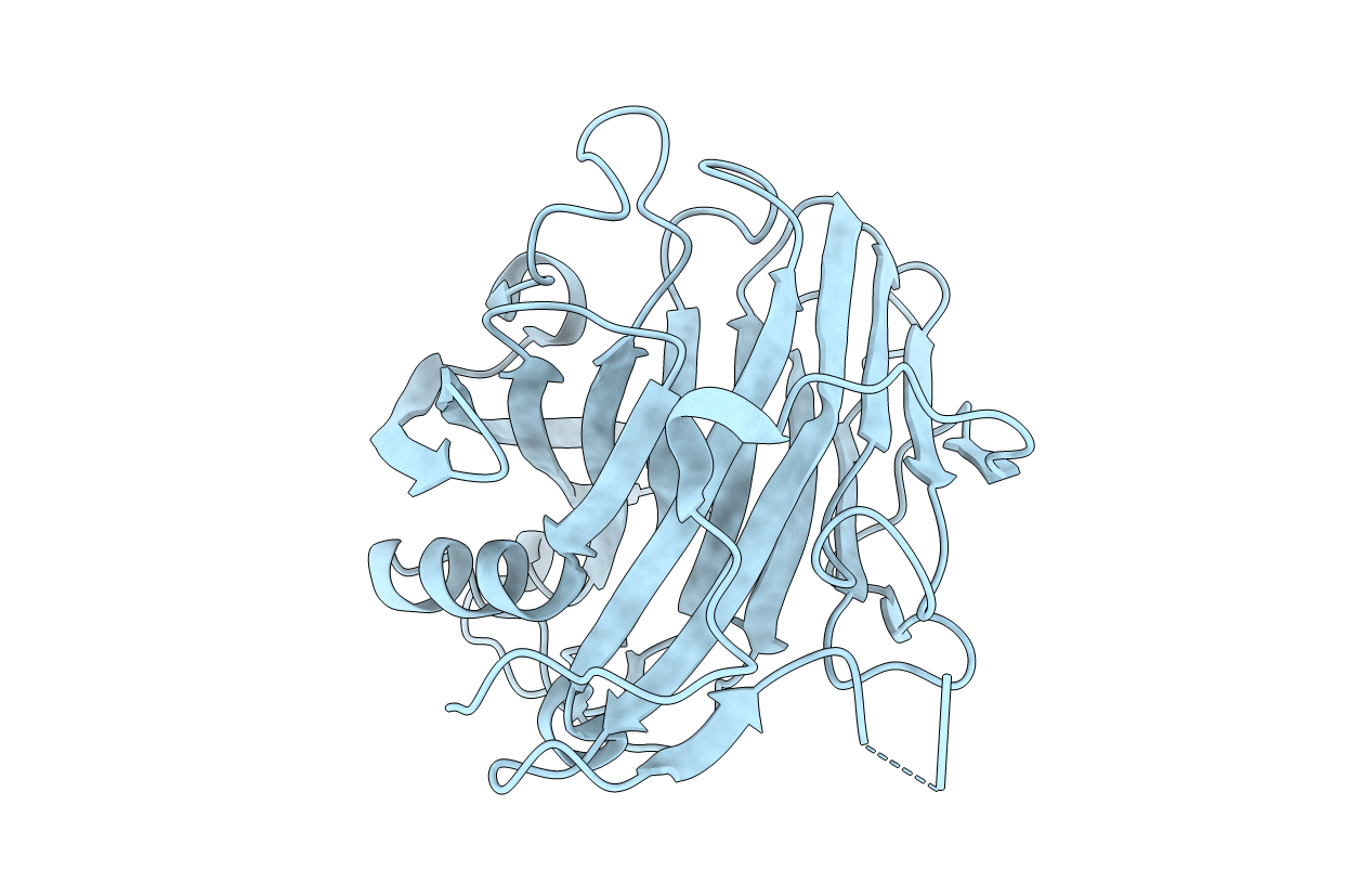 5GYB image