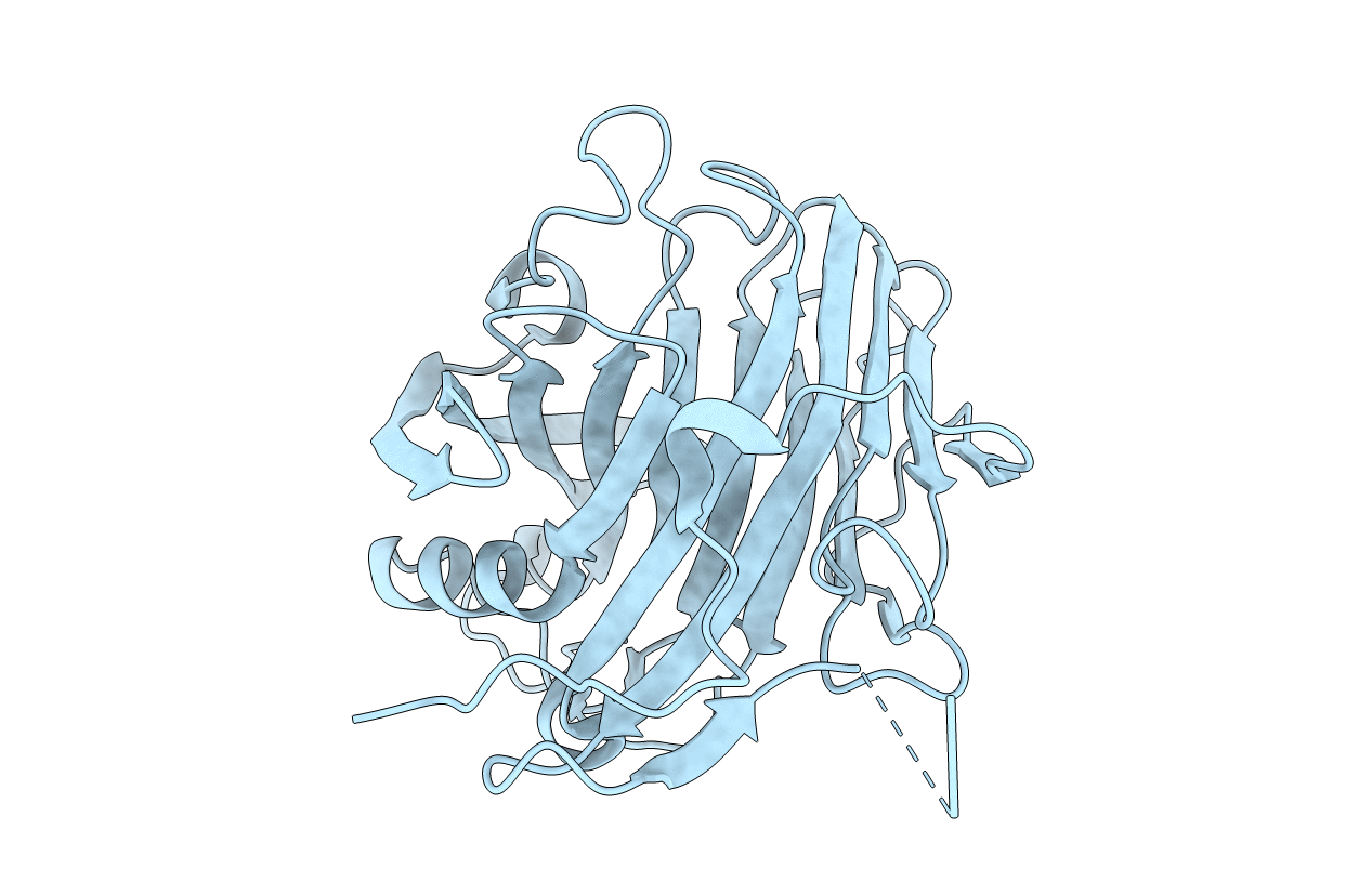 5GYC image