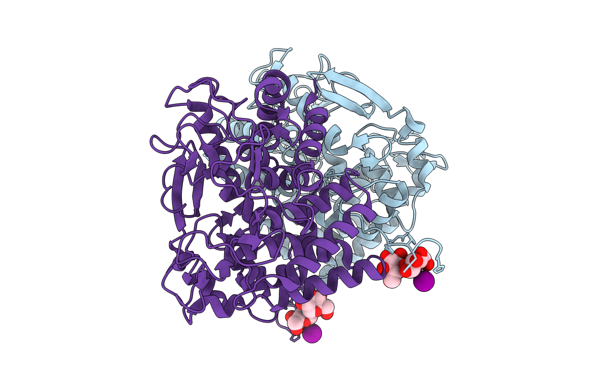 5GZH image