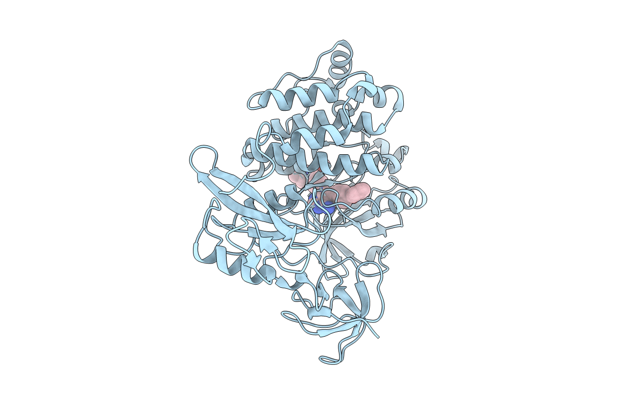 5H0H image