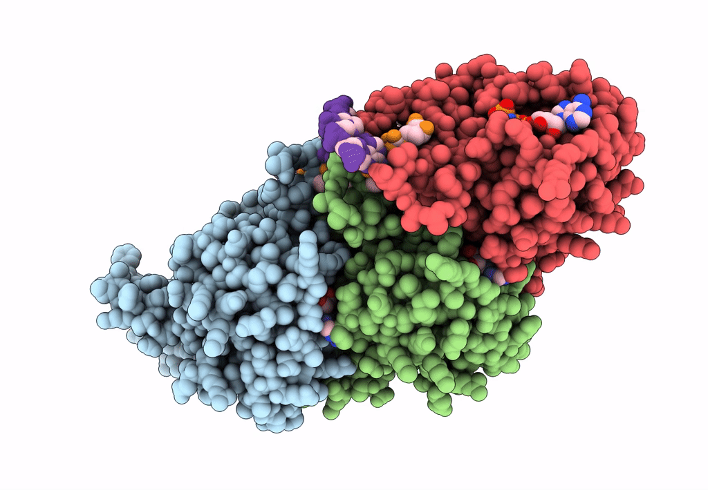 5H1C image