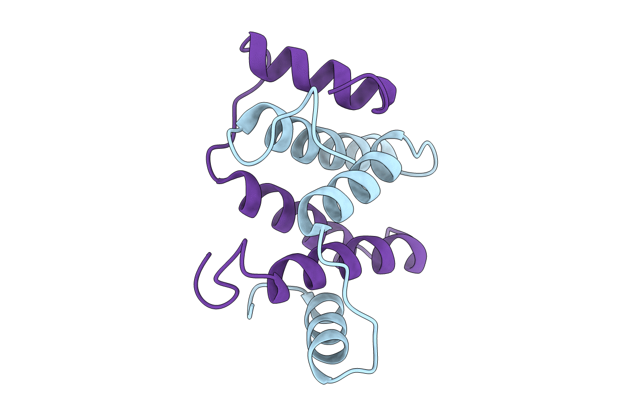 5H1N image