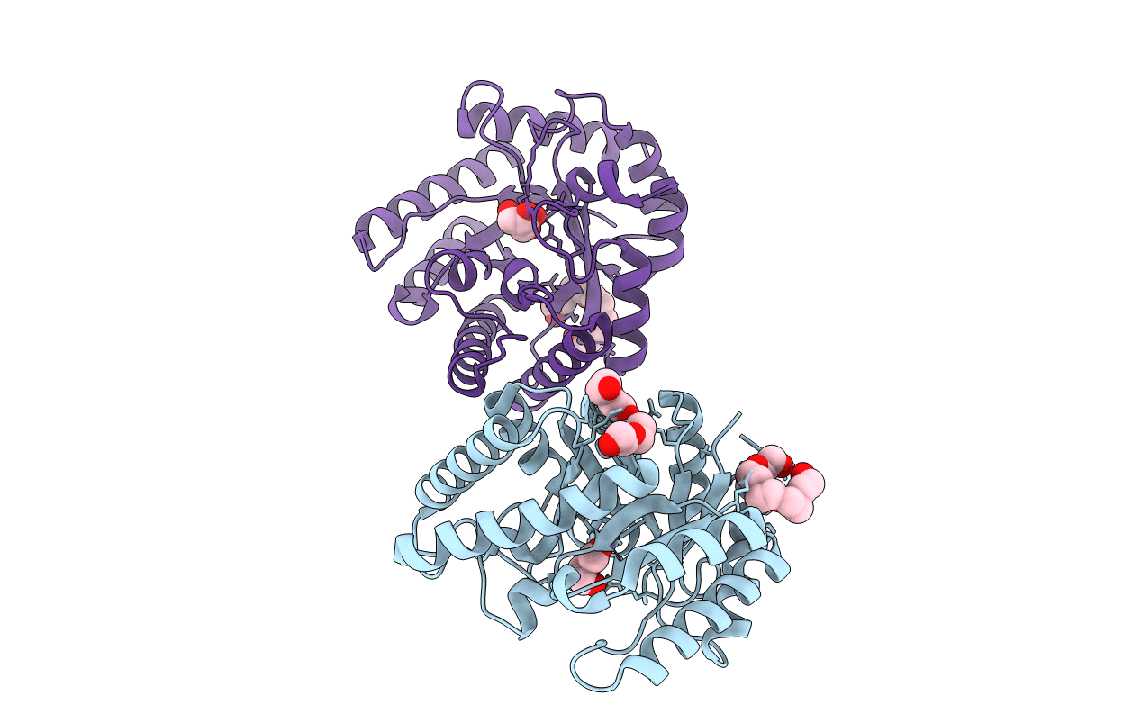 5H1W image