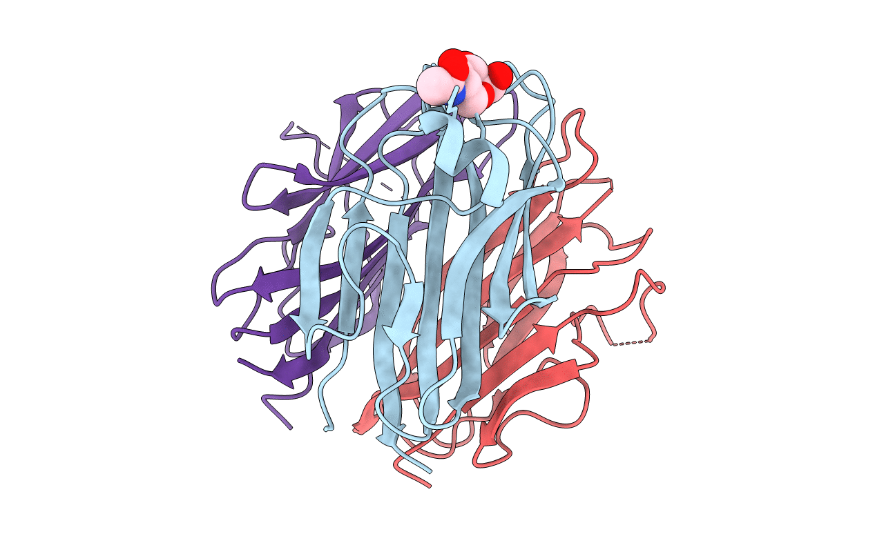 5H49 image