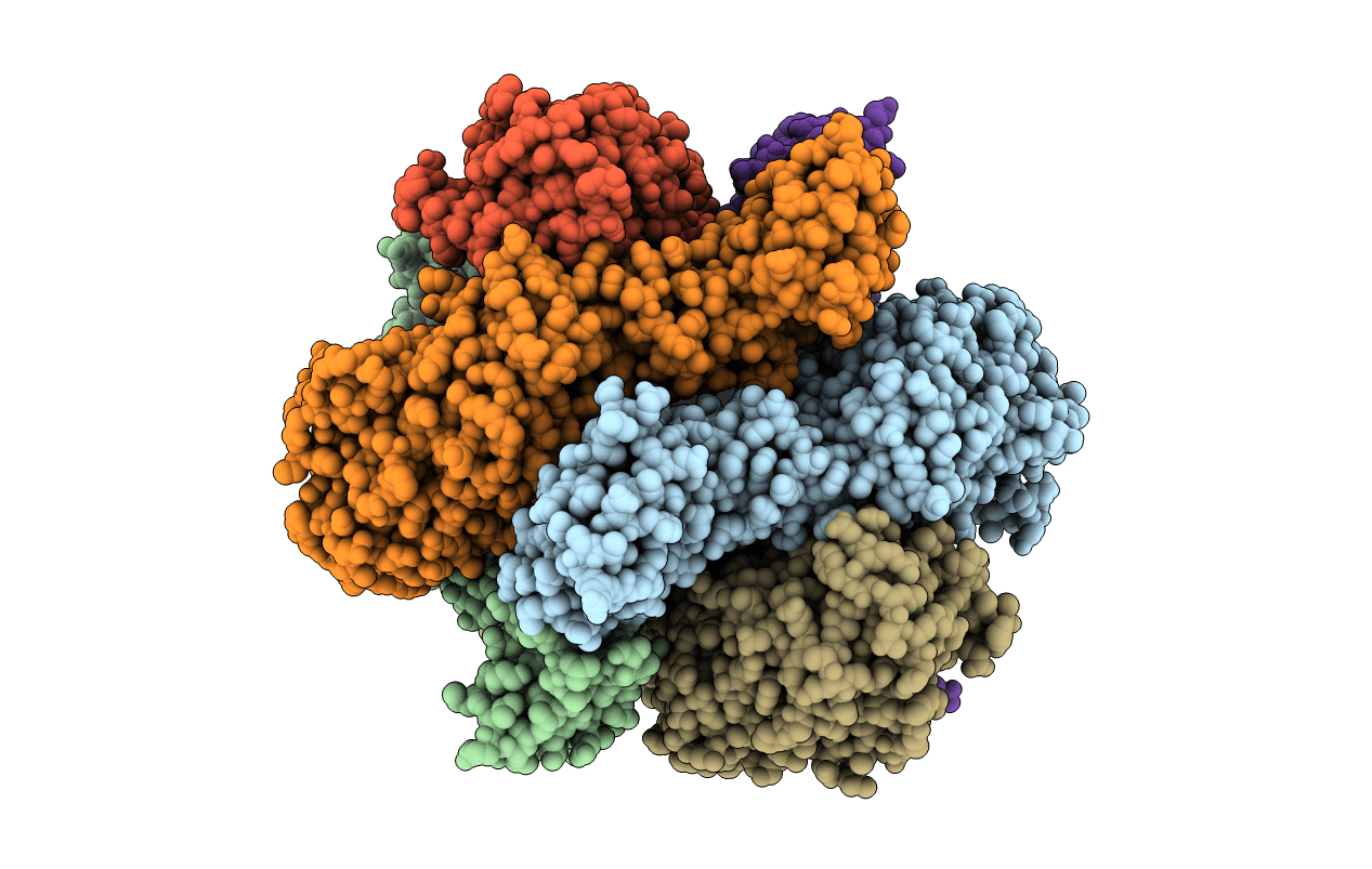 5H4V image