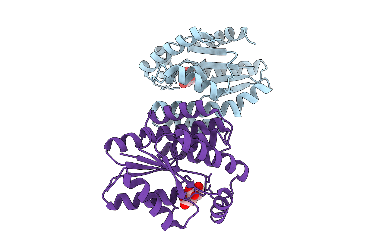 5H5B image