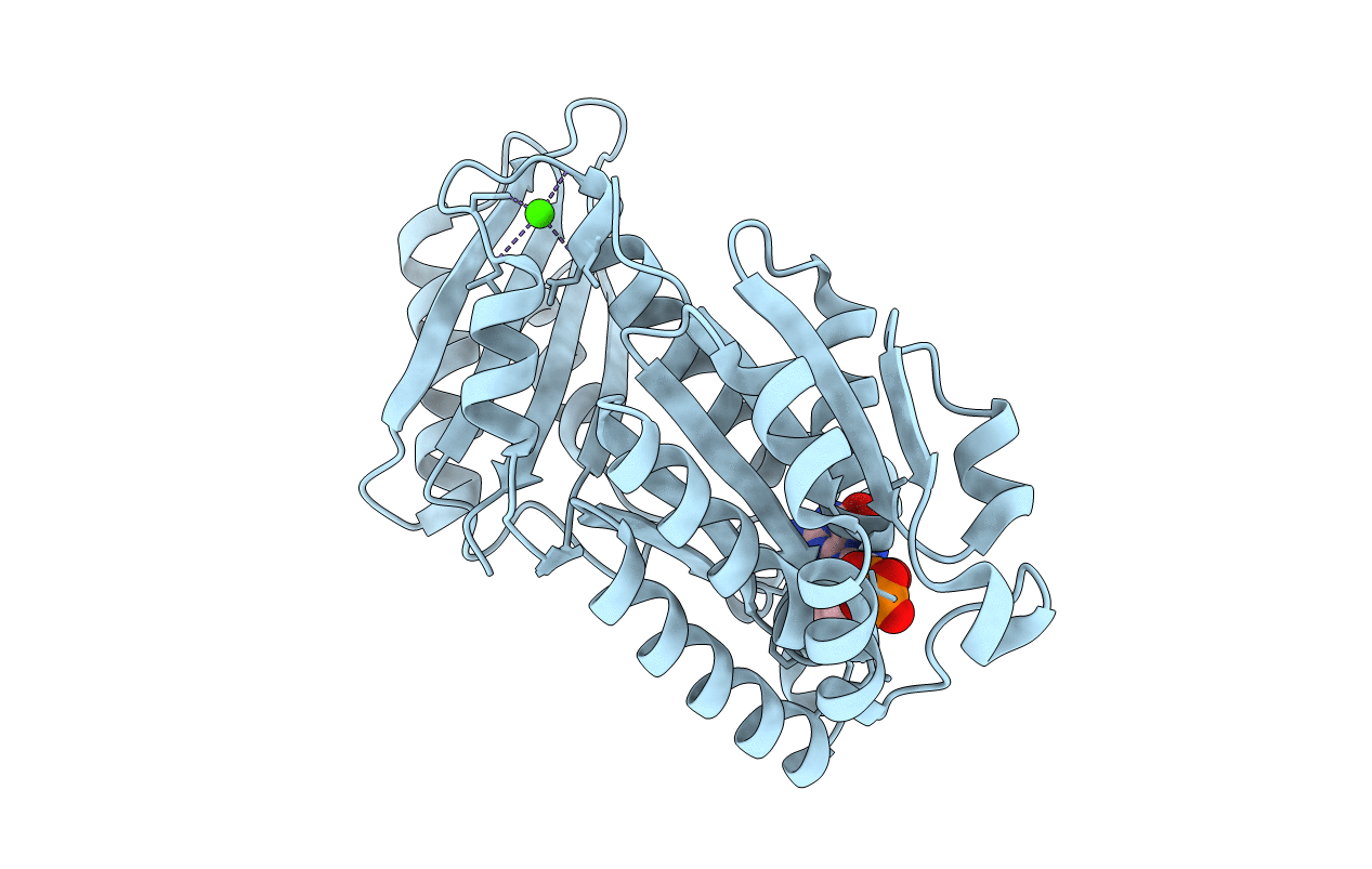 5H5H image