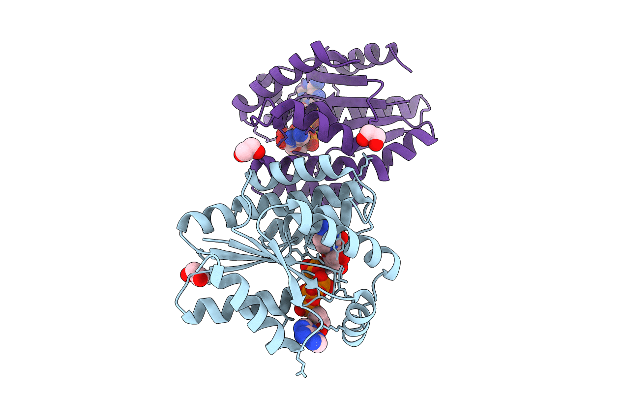 5H5K image