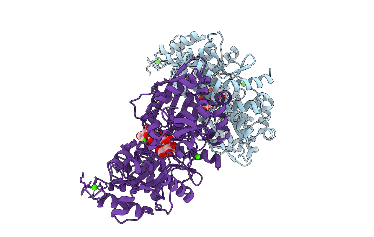 5H6U image