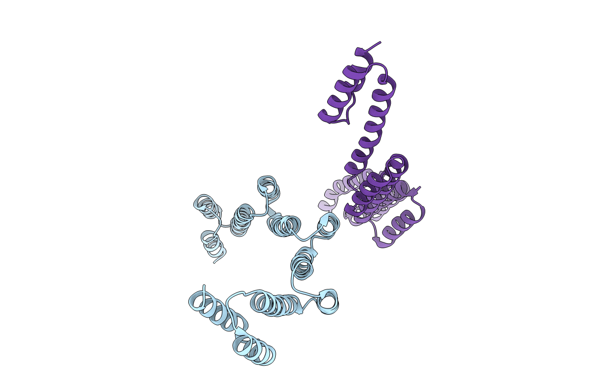 5H7B image
