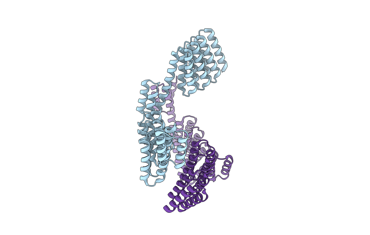 5H7C image