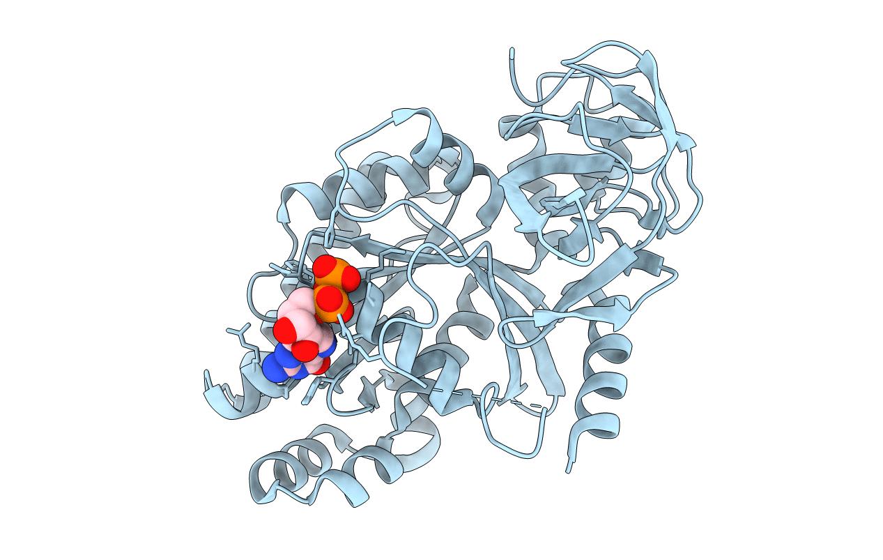 5H7K image