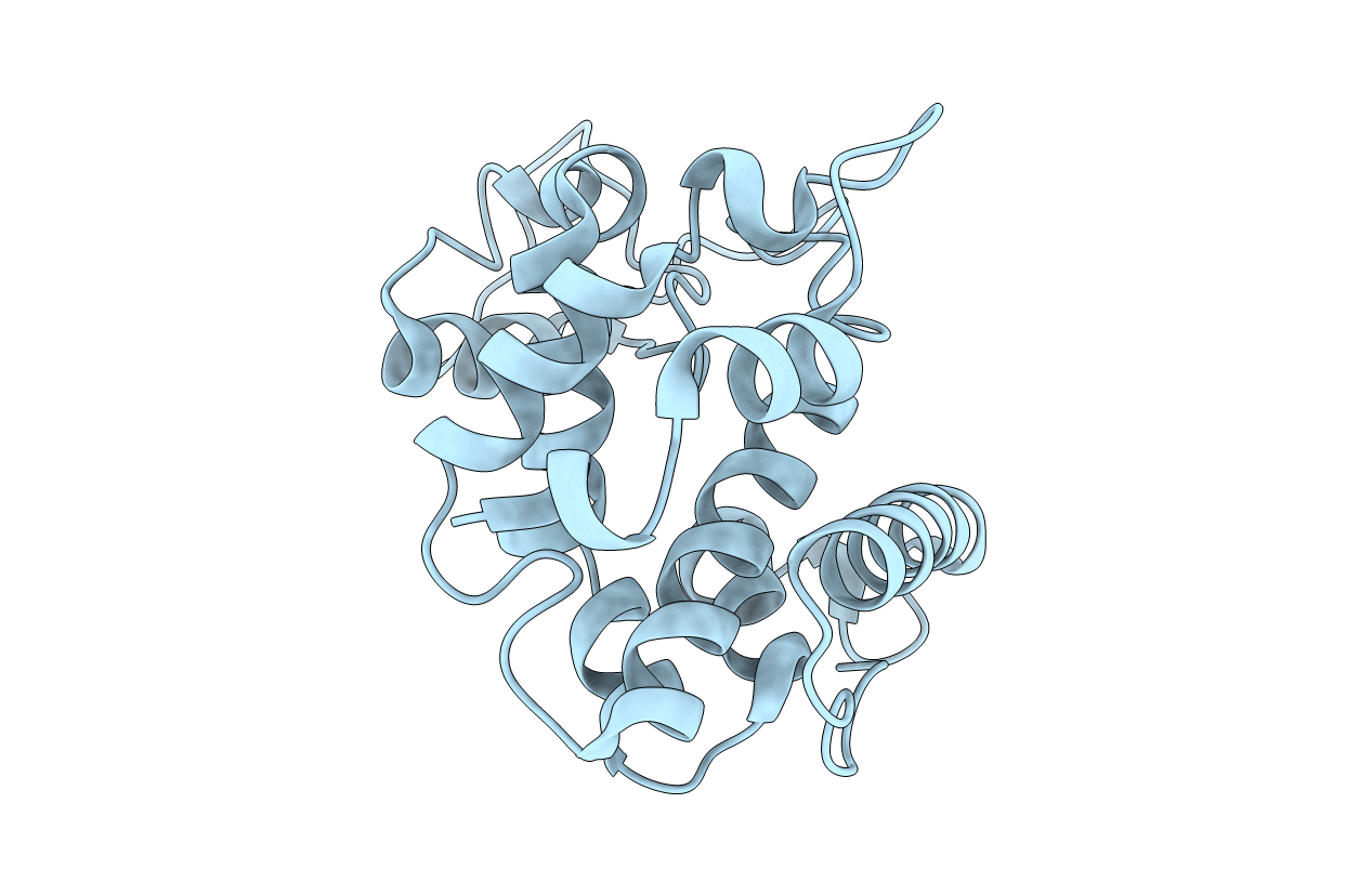 5H7T image