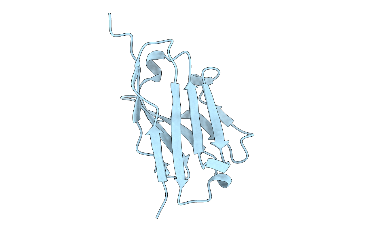 5H8D image