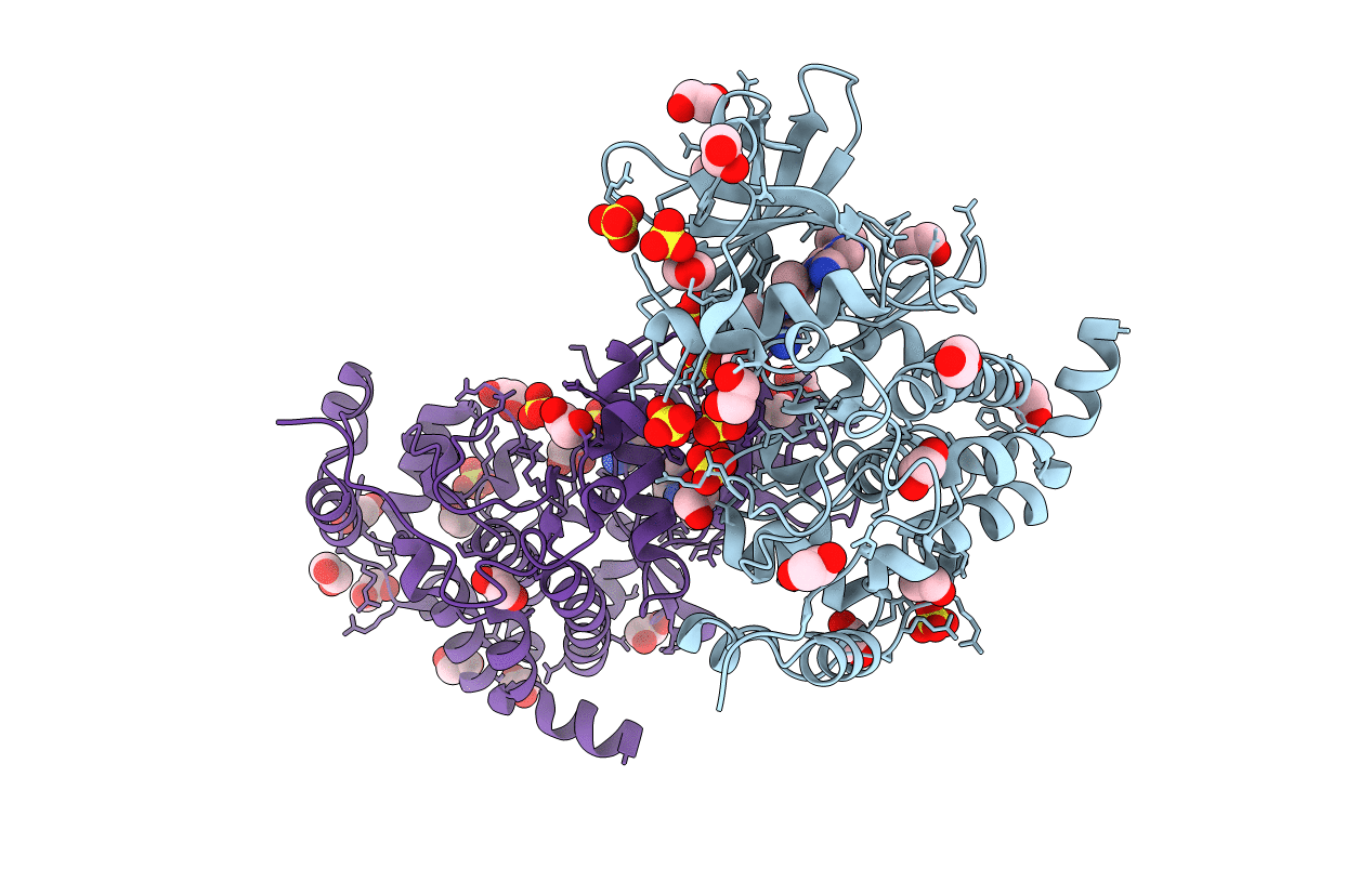 5H8E image