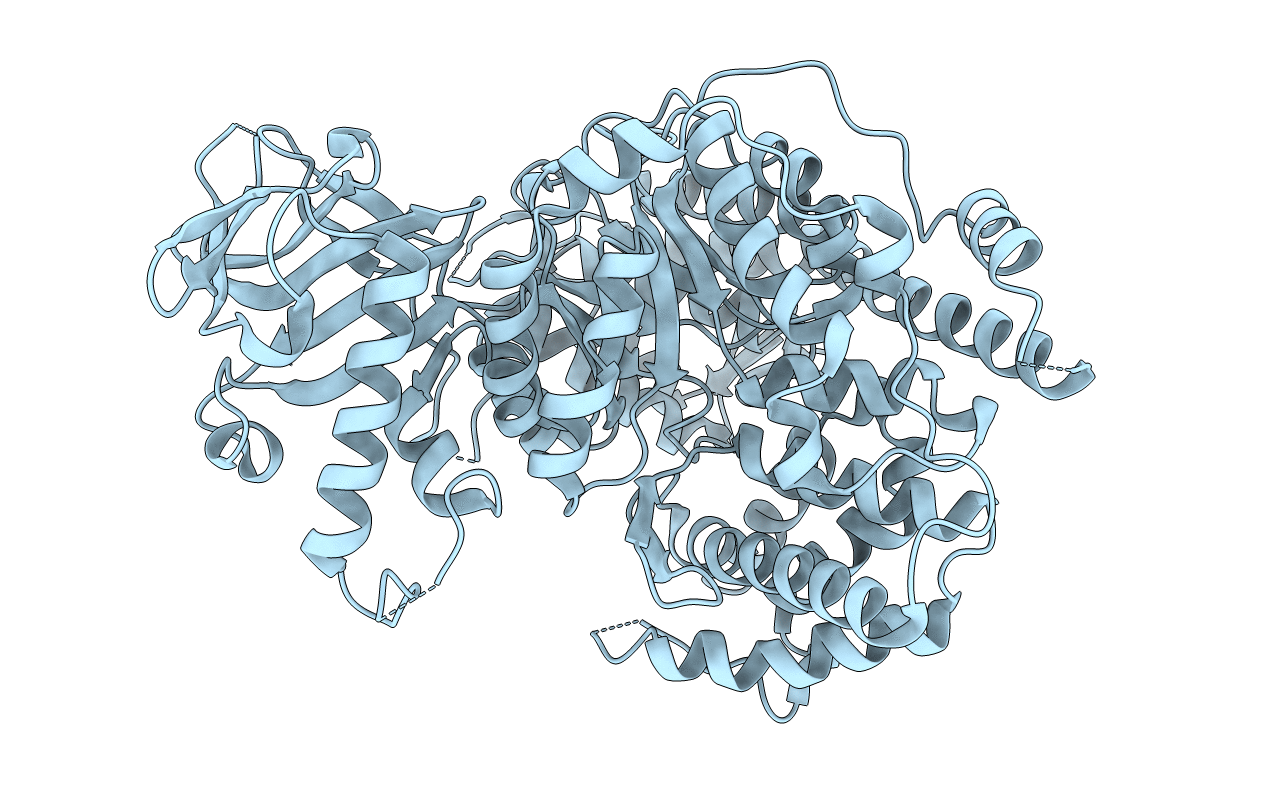 5H8P image