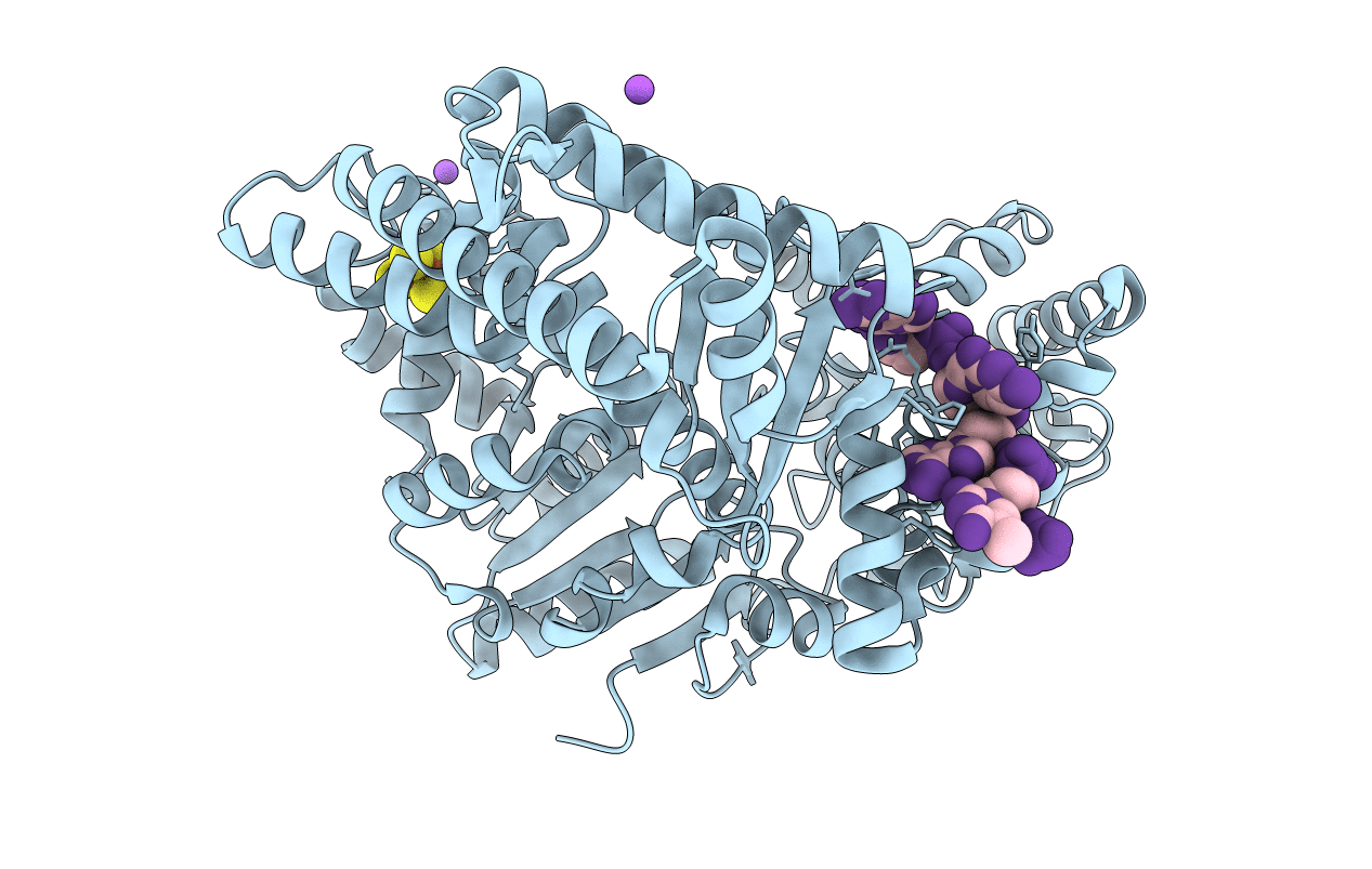 5H8W image
