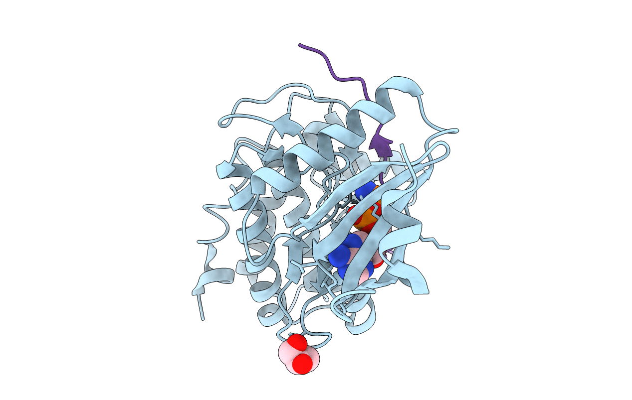 5H9B image