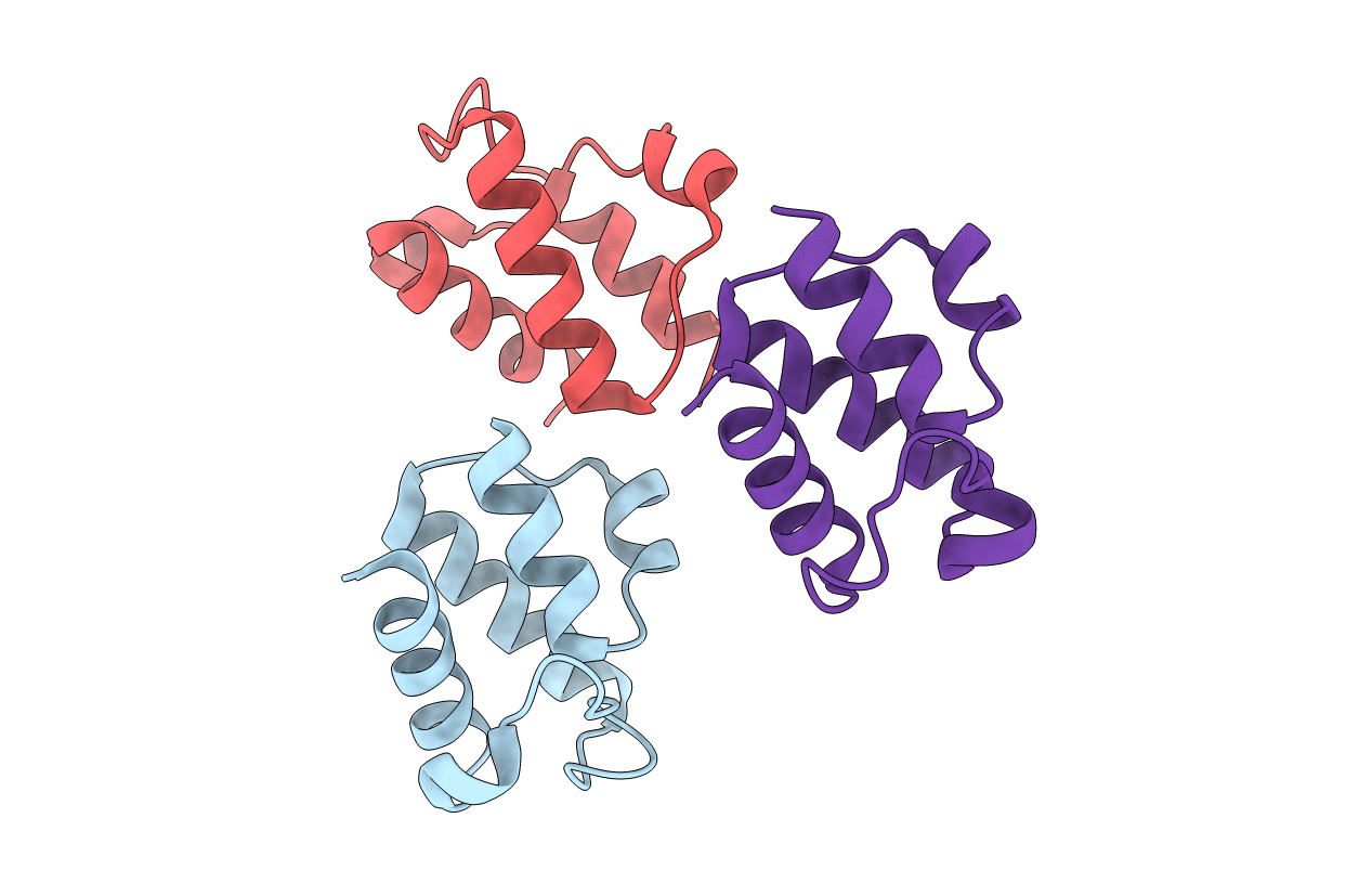 5H9H image
