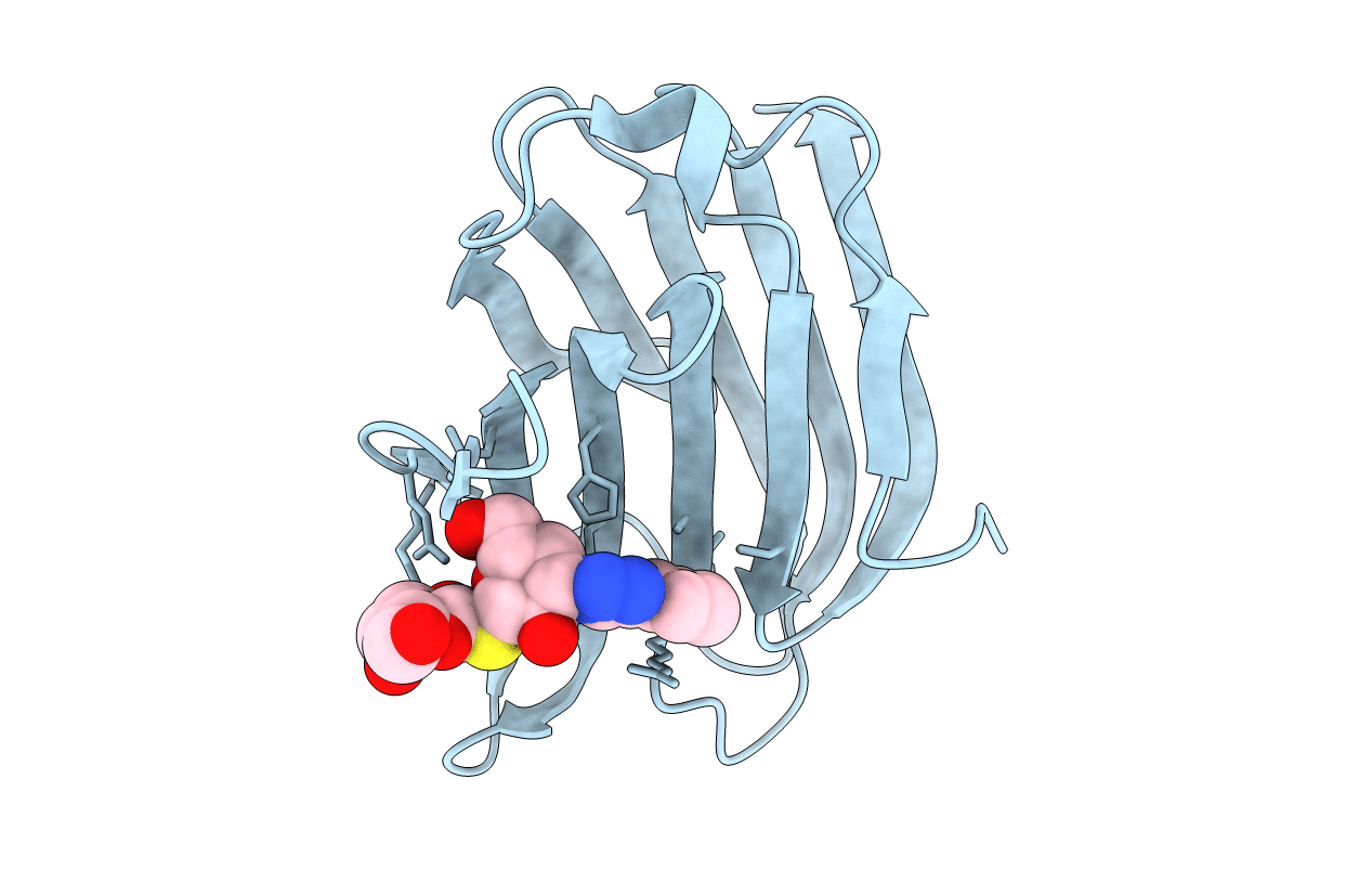 5H9R image