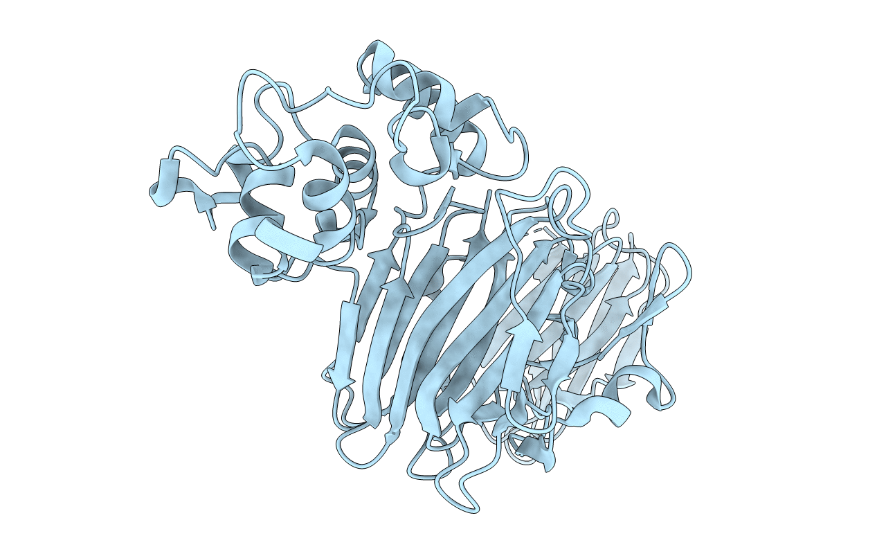 5H9X image
