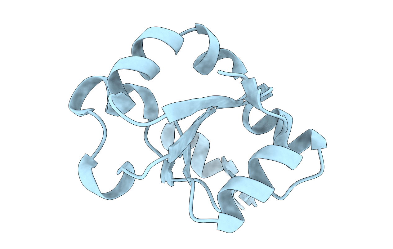 5HBL image