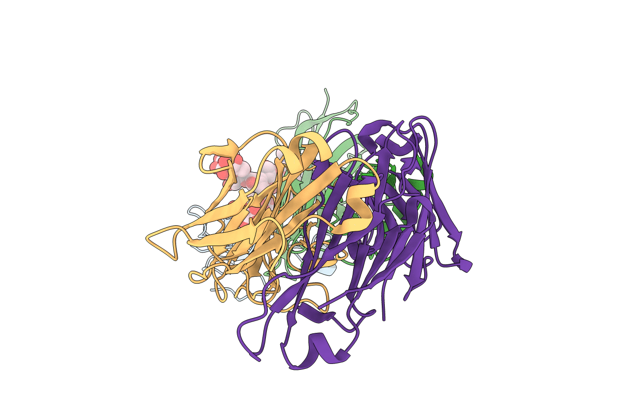 5HBT image