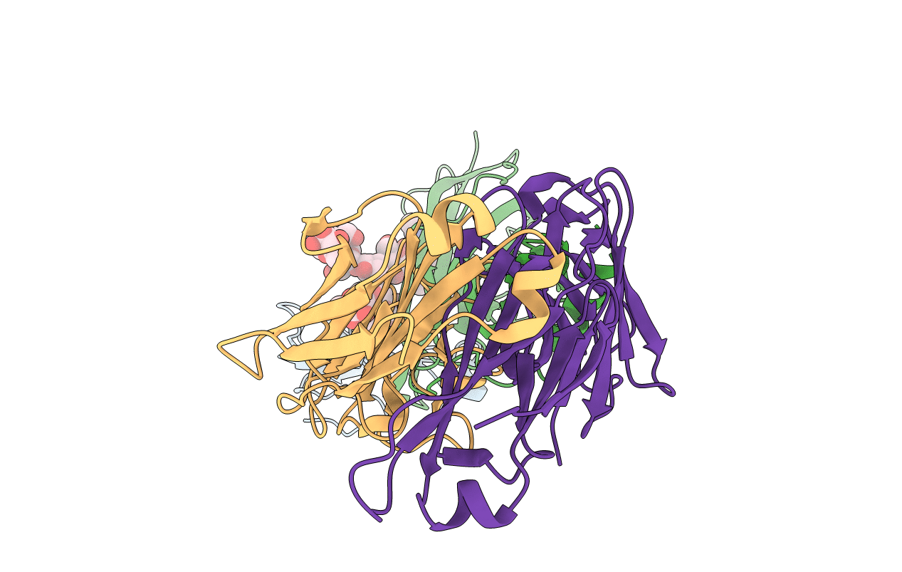 5HBV image