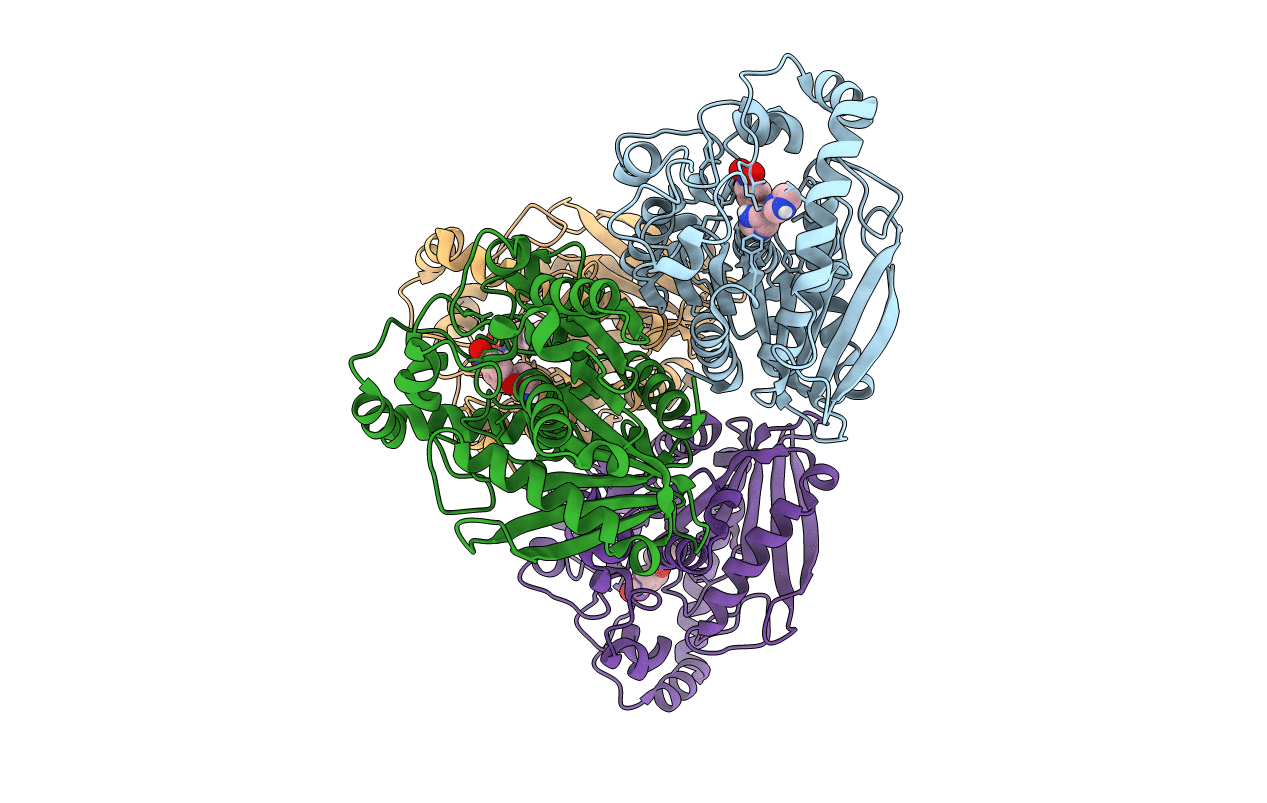 5HC2 image