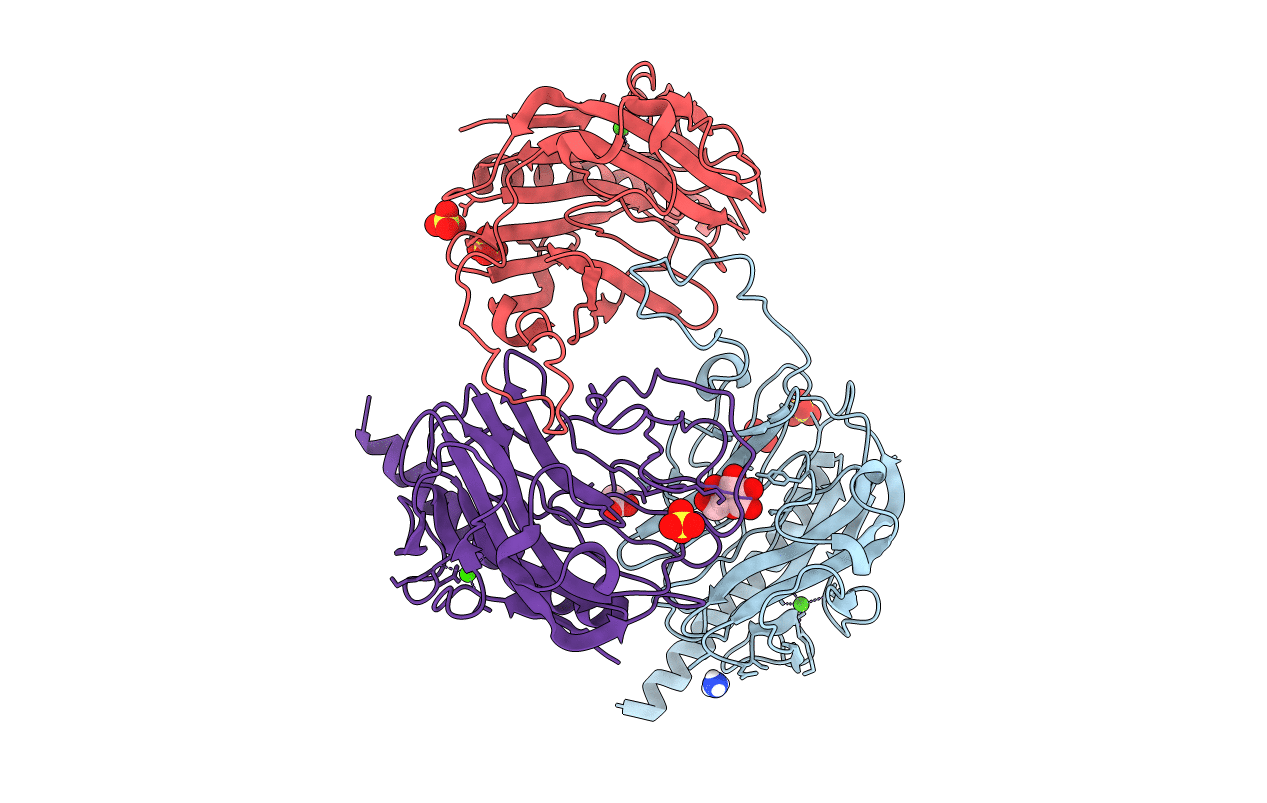 5HCA image