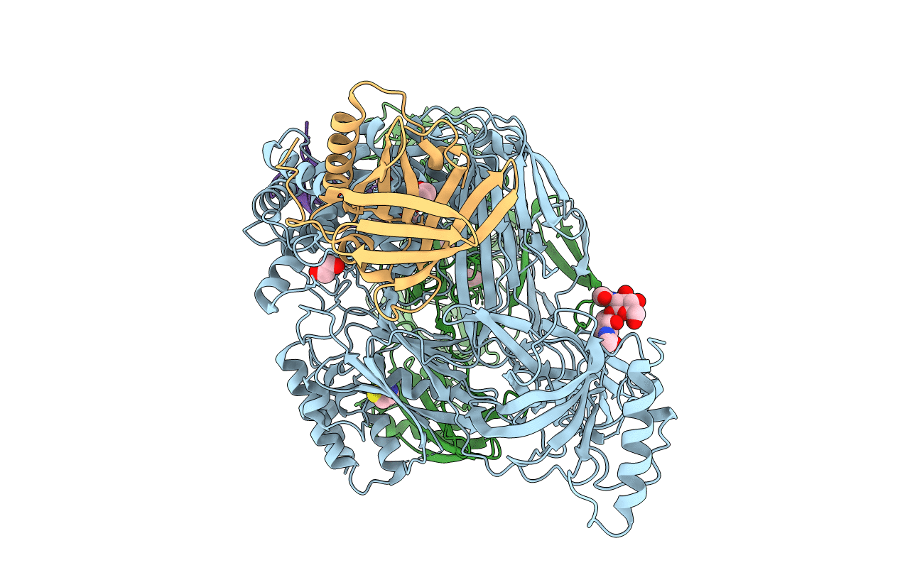 5HCC image