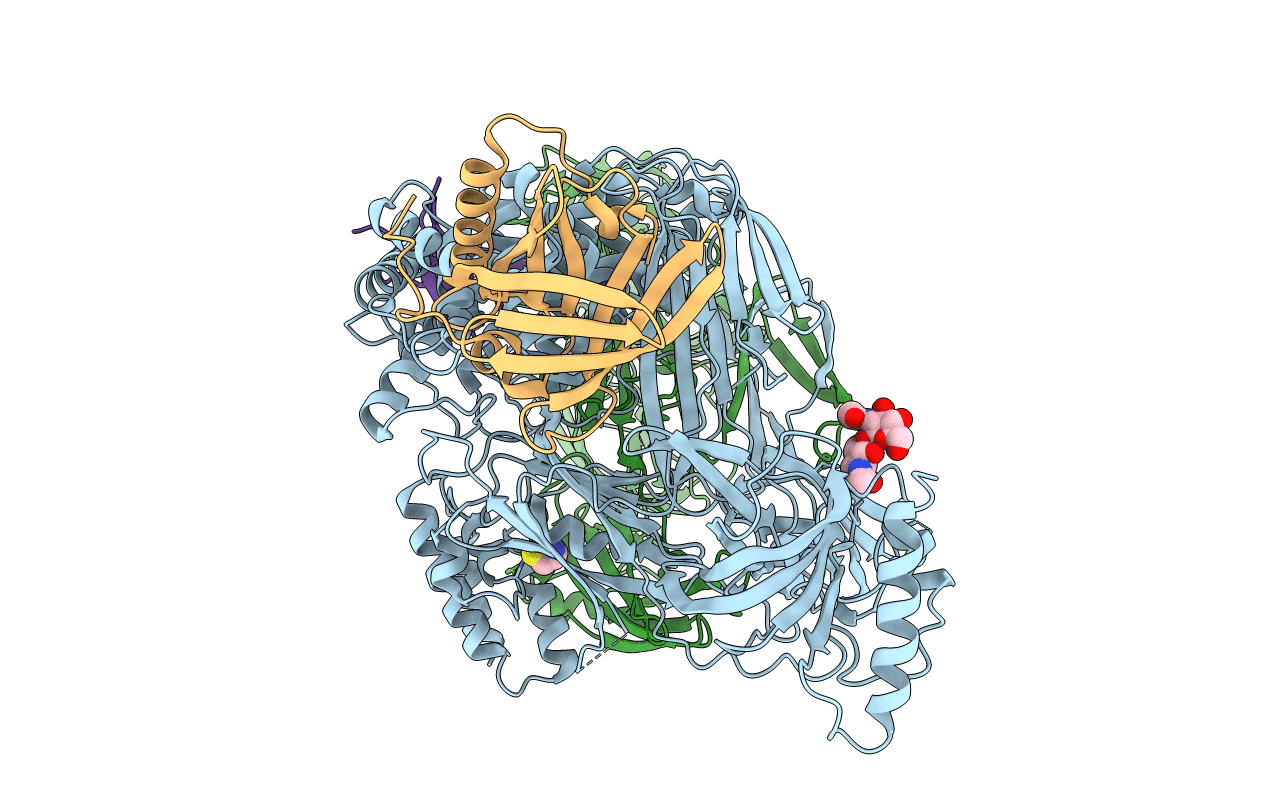 5HCD image