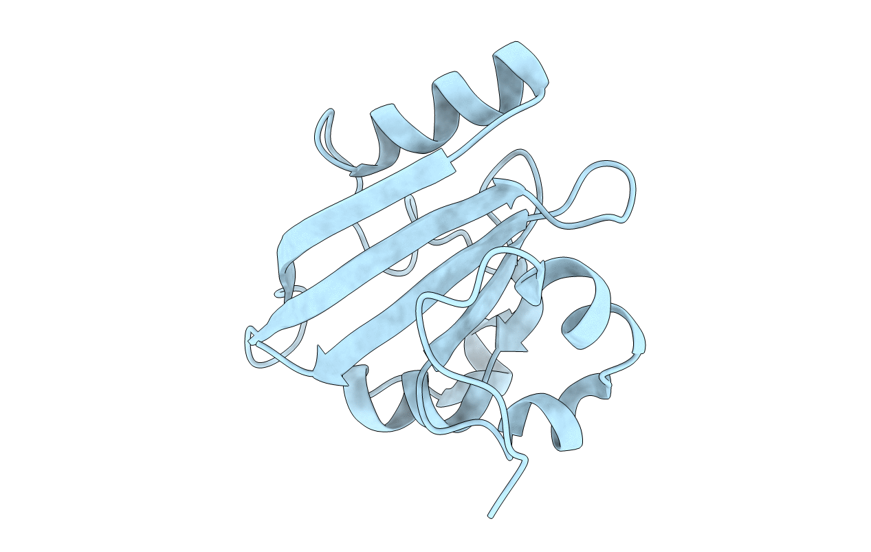 5HDC image