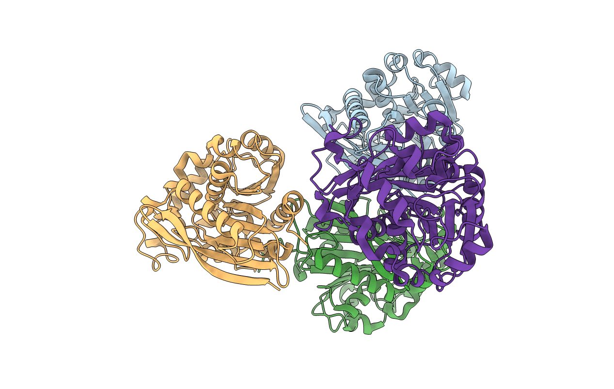 5HDF image