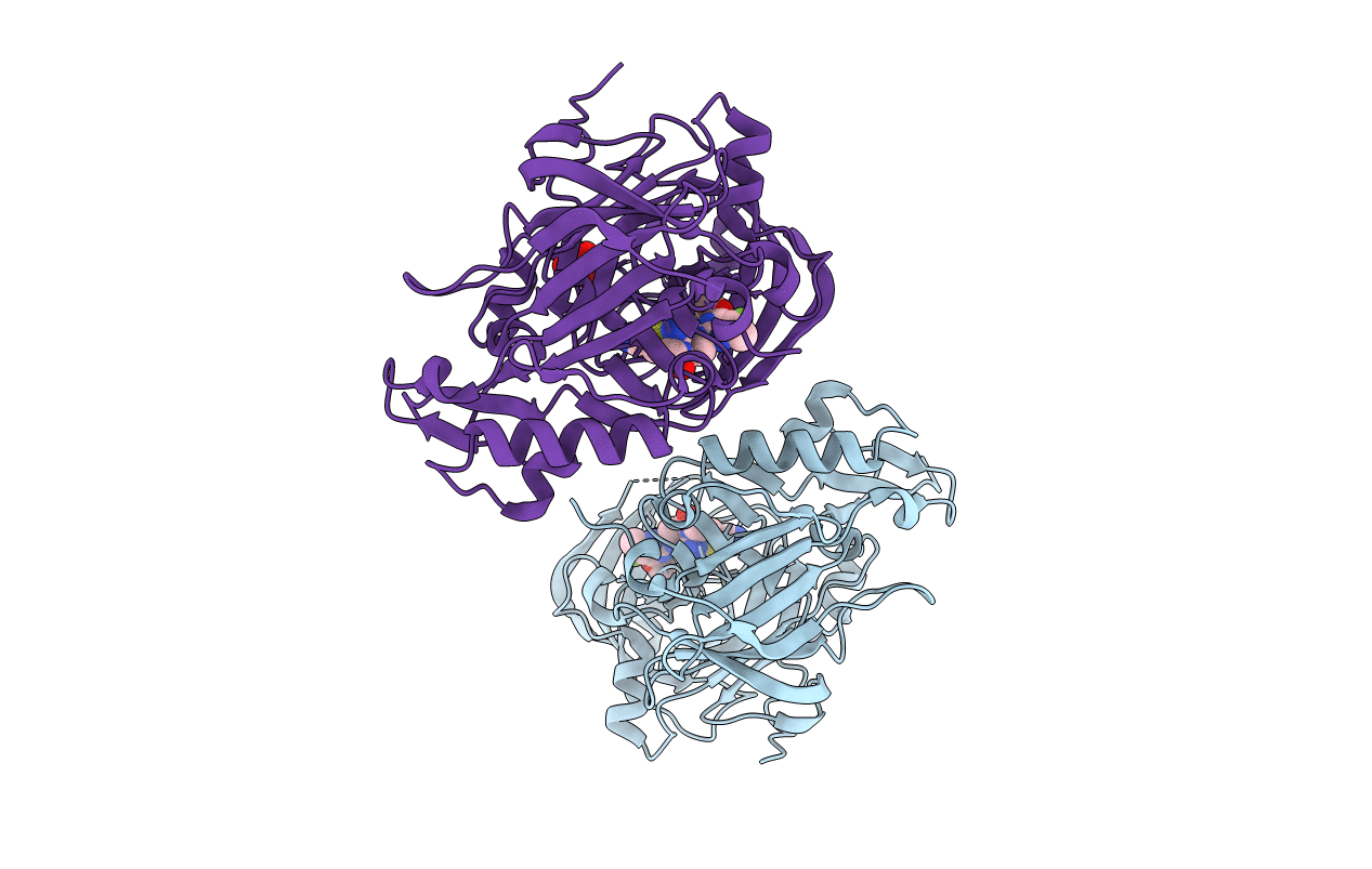 5HDV image