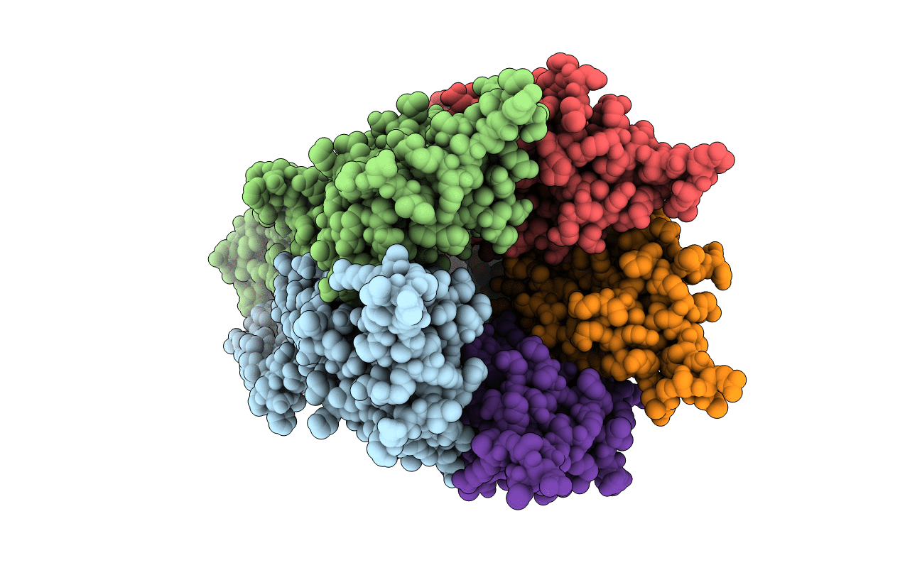 5HEG image