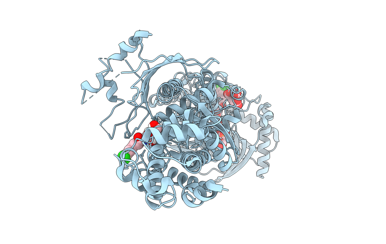 5HG1 image