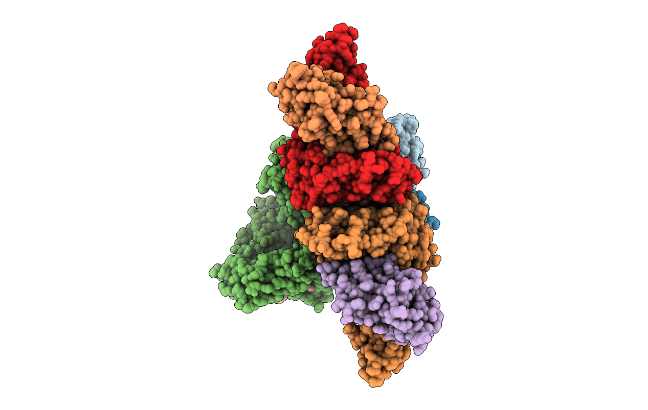 5HGB image