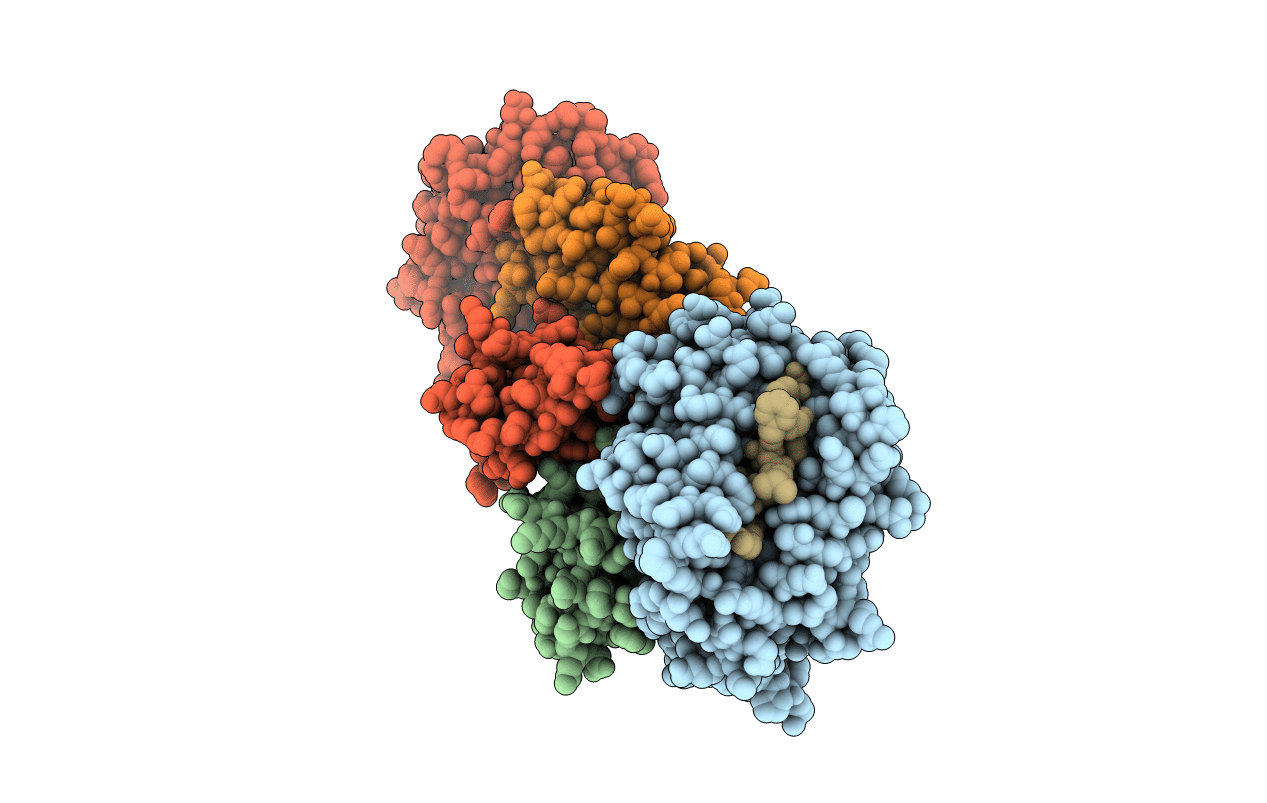 5HGD image