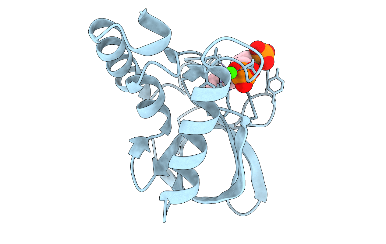 5HGT image