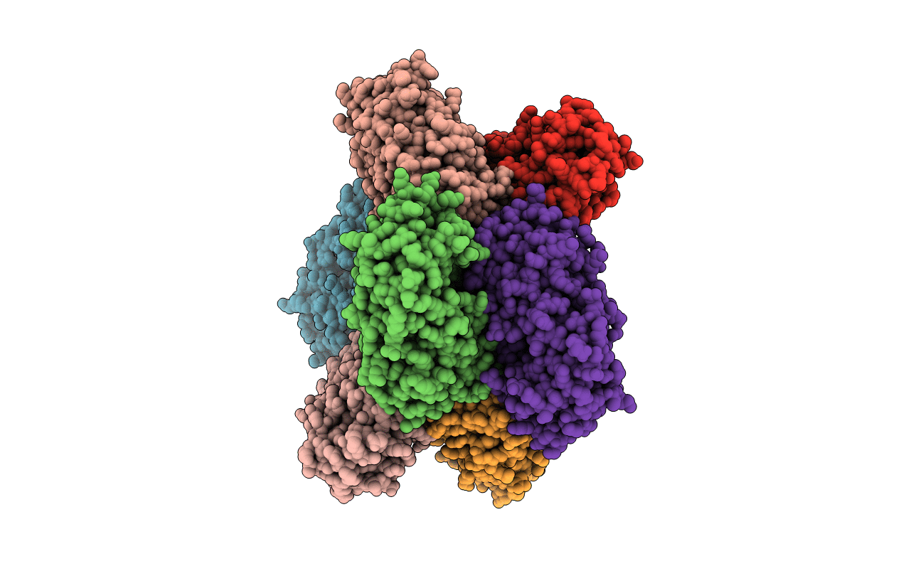 5HHL image