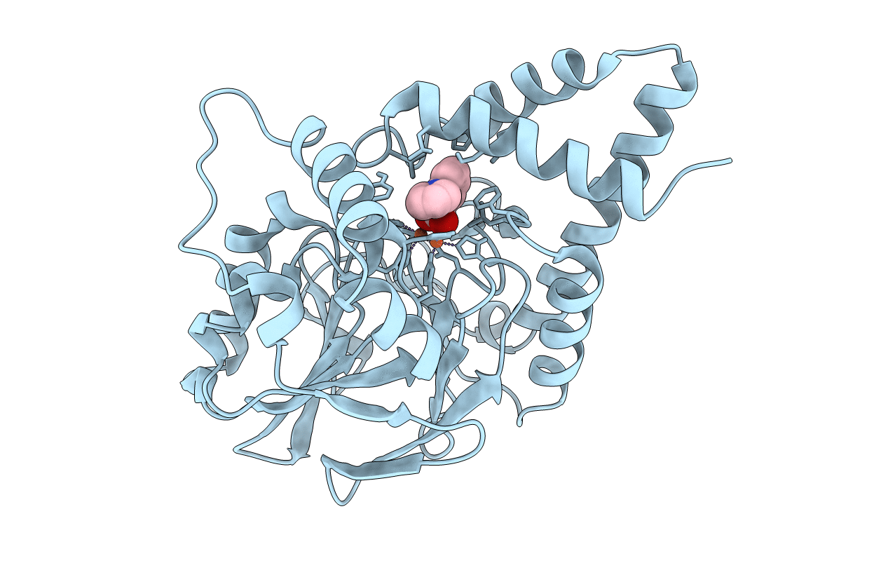 5HIQ image