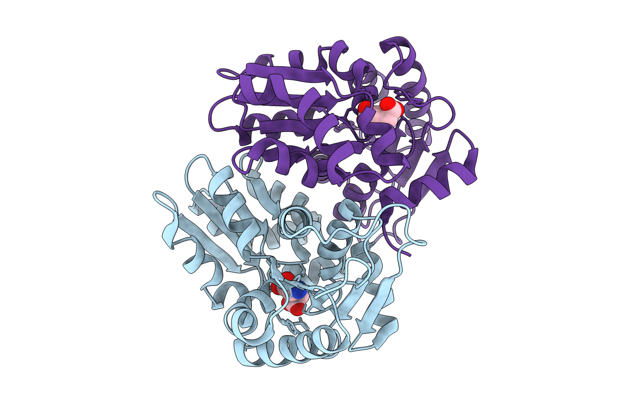 5HJ7 image