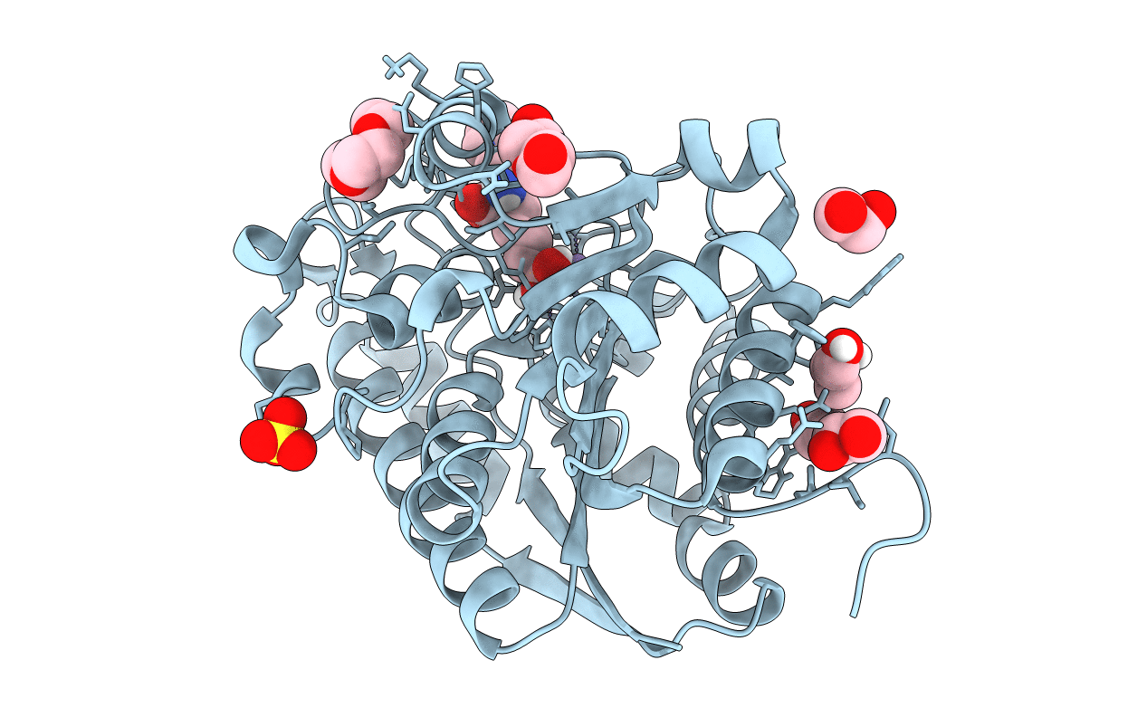 5HJ9 image