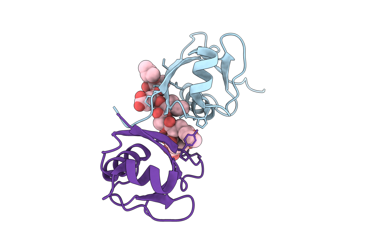 5HKH image