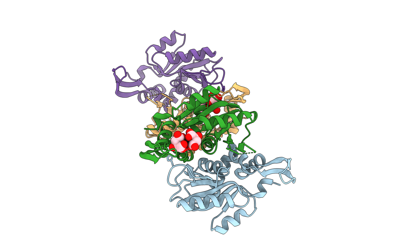 5HKI image