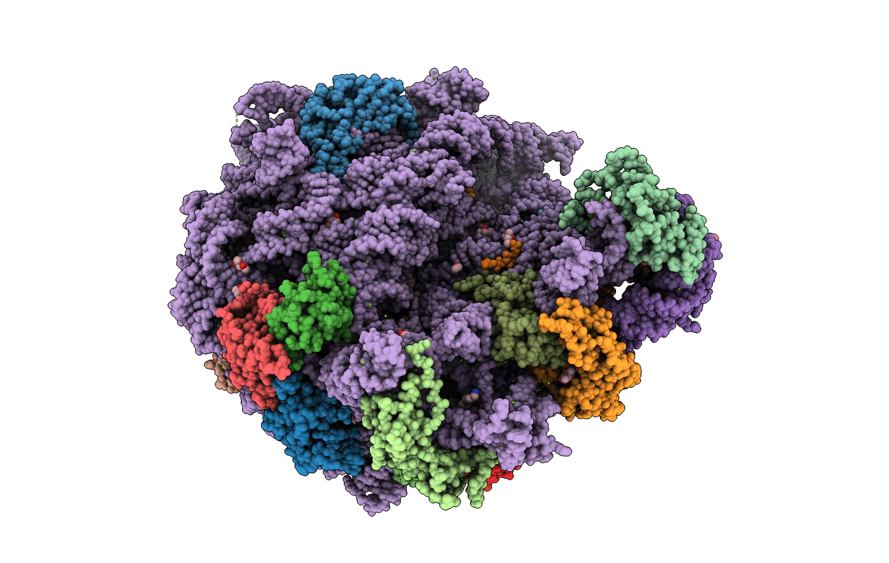 5HKV image