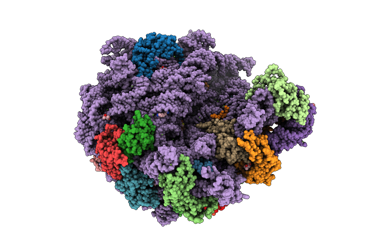 5HL7 image