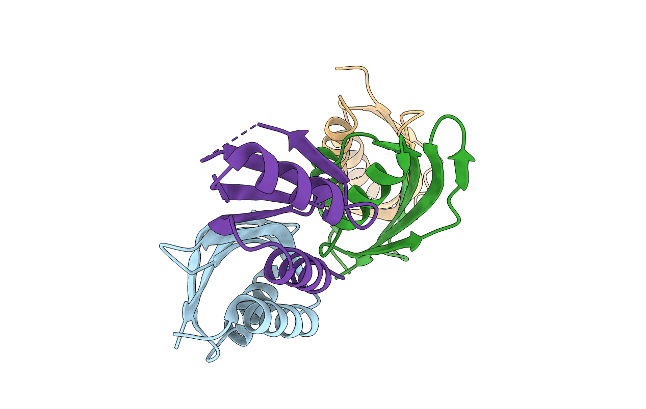 5HL8 image